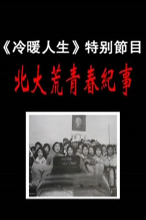 fi11cnn中转站